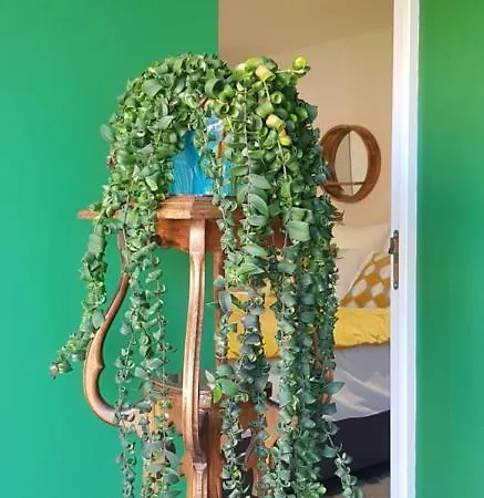 Il Etait Ferme 4* Aulnoye-Aymeries