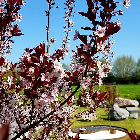 Il Etait Ferme Bed & Breakfast