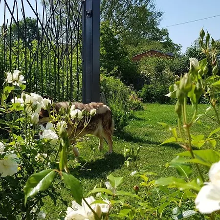 Il Etait Ferme 4* Aulnoye-Aymeries