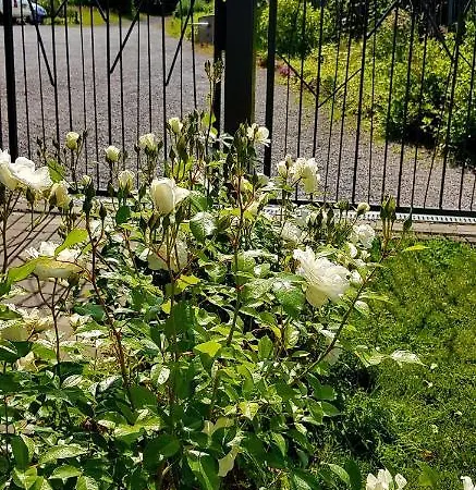 Bed & Breakfast Il Etait Ferme