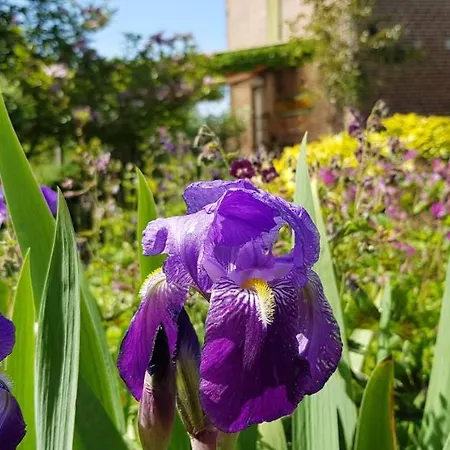 Il Etait Ferme Aulnoye-Aymeries