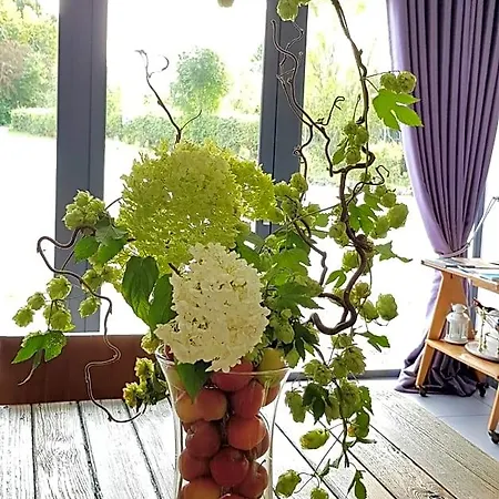 Bed & Breakfast Il Etait Ferme Aulnoye-Aymeries