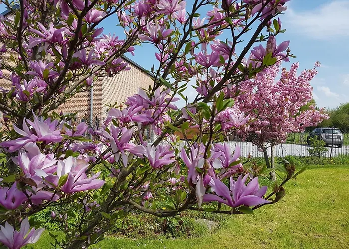 Il Etait Ferme Bed & Breakfast 4*