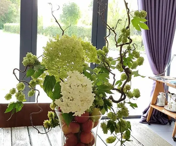 Il Etait Ferme 4* Aulnoye-Aymeries