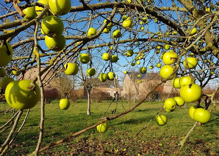 Il Etait Ferme Couette-café 4*