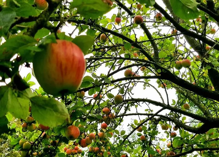 Bed & Breakfast Il Etait Ferme Aulnoye-Aymeries