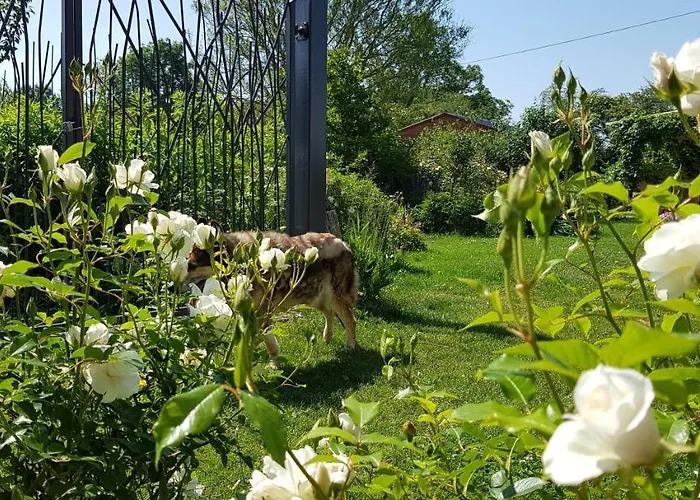 Il Etait Ferme 4* Aulnoye-Aymeries