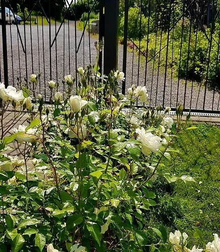 Couette-café Il Etait Ferme