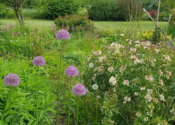 Il Etait Ferme Bed & Breakfast