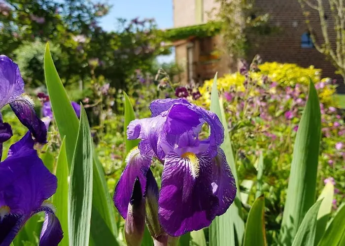 Il Etait Ferme Aulnoye-Aymeries